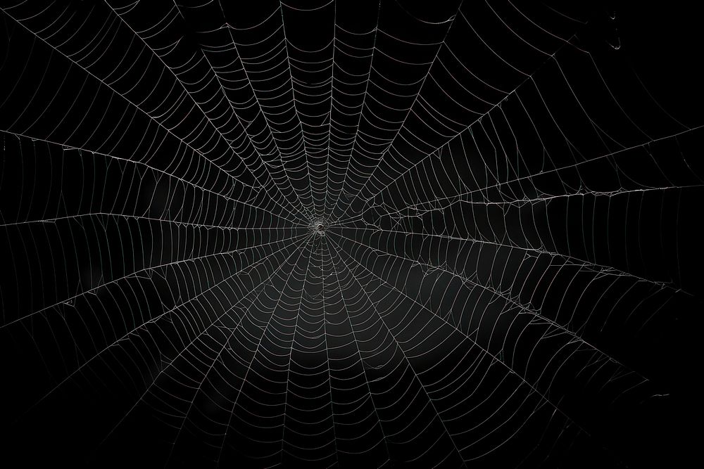 Spider web backgrounds complexity concentric. AI generated Image by rawpixel.