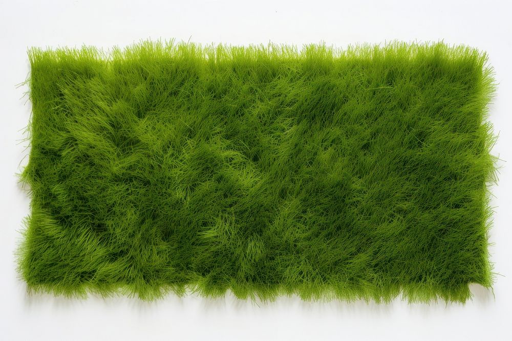 Green grass backgrounds plant lawn. AI generated Image by rawpixel.