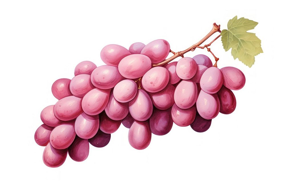 Grapes plant fruit food. AI generated Image by rawpixel.