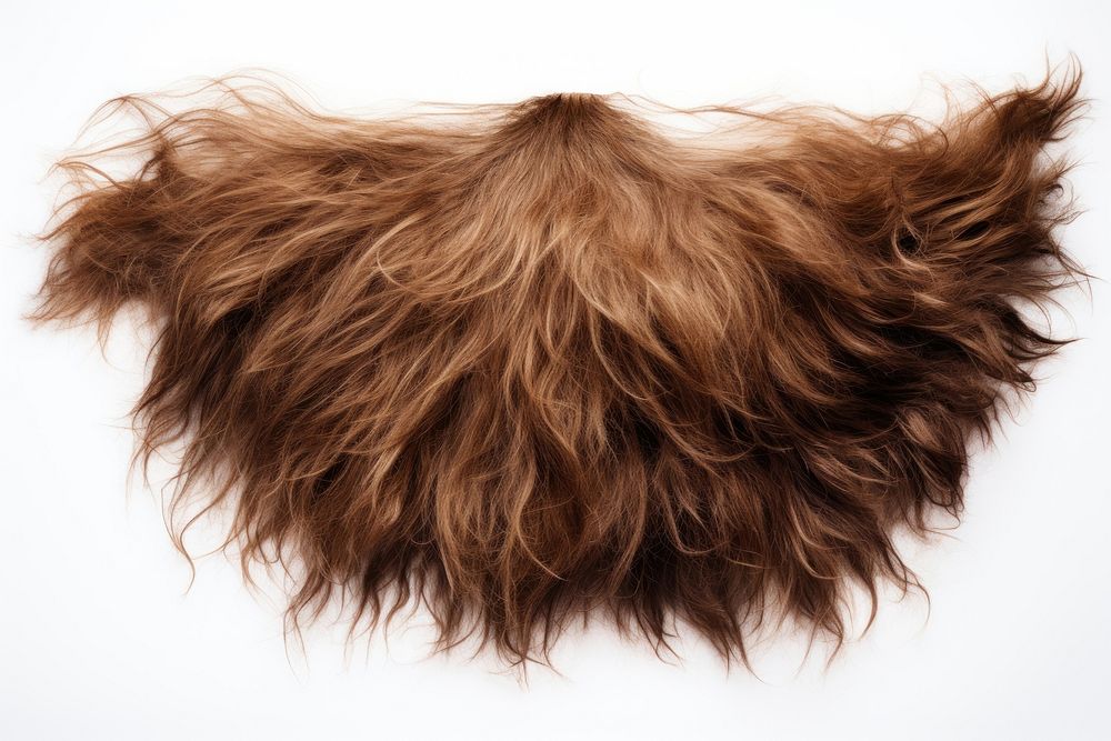 Disheveled brown beard hairstyle hedgehog cushion. 