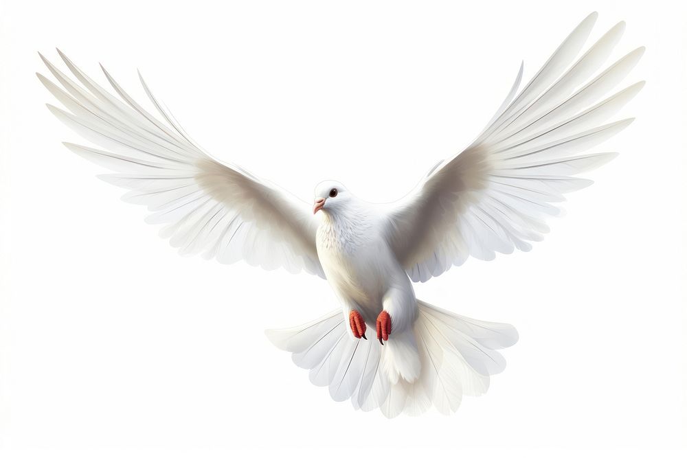 Dove flying animal white bird. AI generated Image by rawpixel.