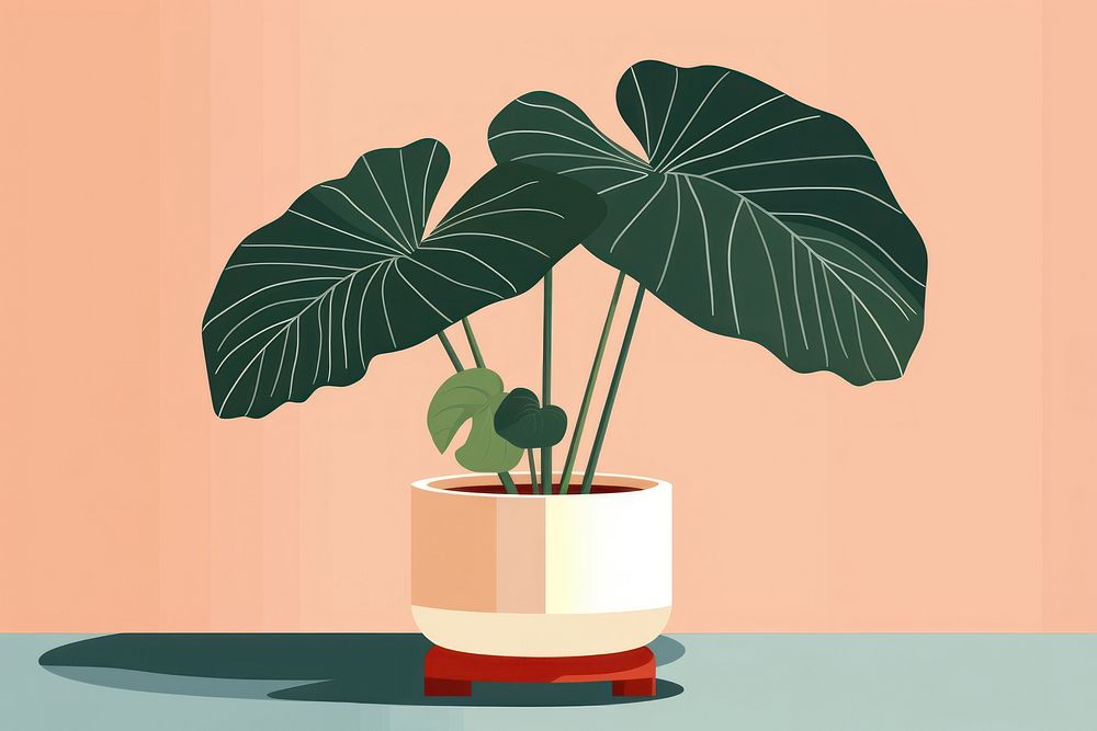 Alocasia longiloba plant leaf houseplant. AI generated Image by rawpixel.