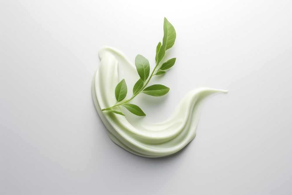 Plant cream food leaf. 