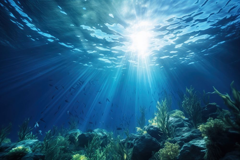 Underwater background underwater outdoors seaweed. AI generated Image by rawpixel.
