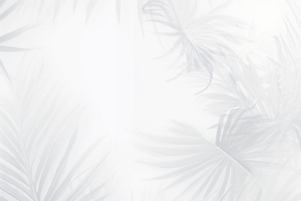 Palm leaves white backgrounds snowflake. 