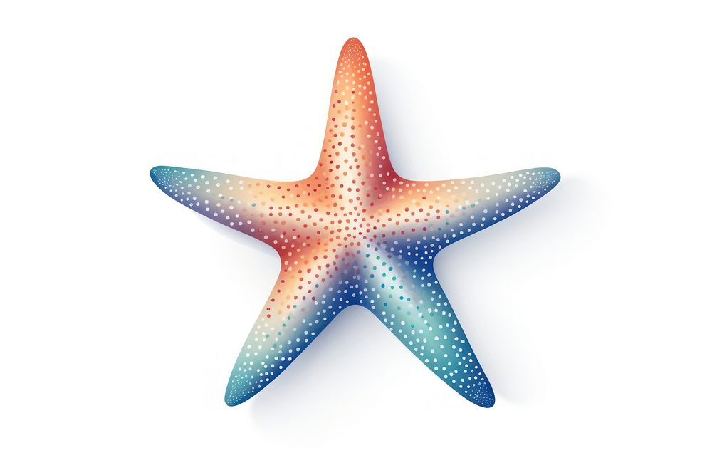 Starfish starfish white background invertebrate. AI generated Image by rawpixel.