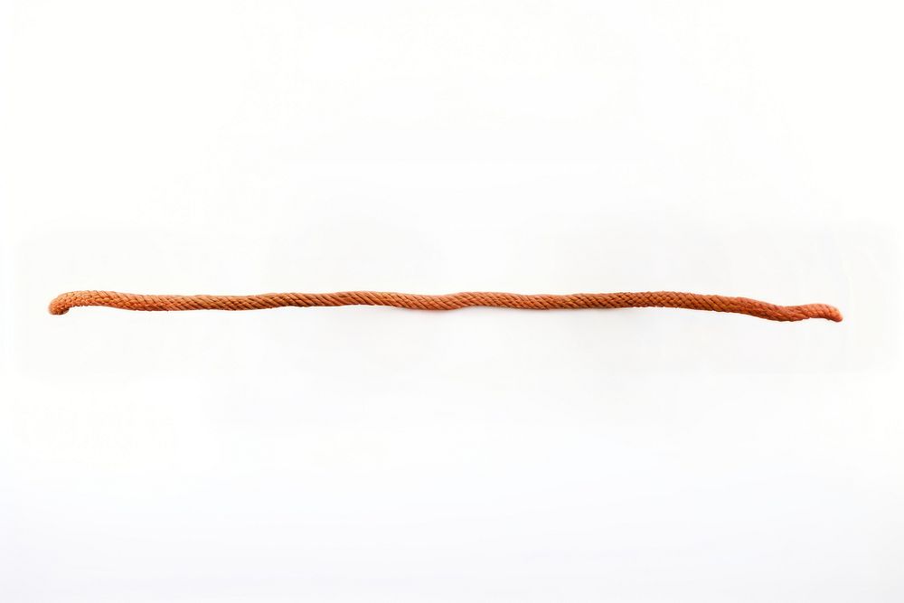 A long rope white background brown single object. 