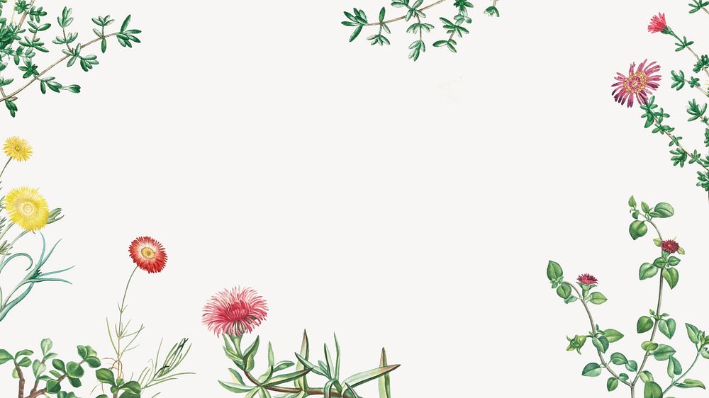 Colorful spring flowers desktop wallpaper, off-white border background