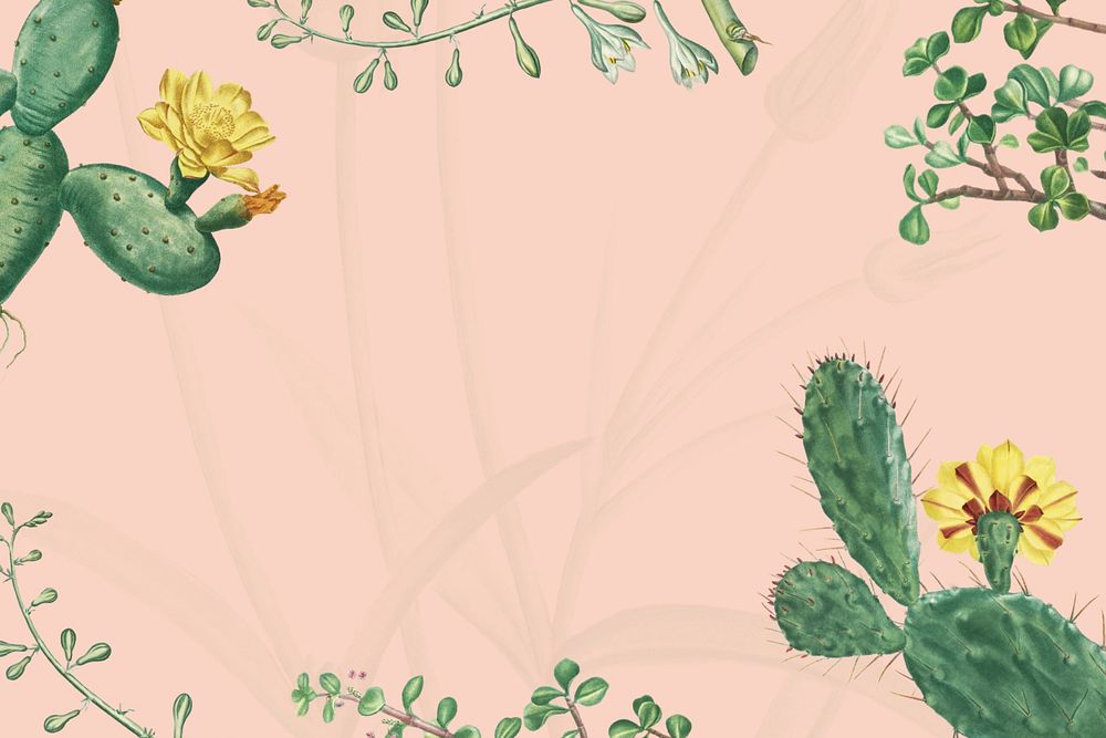 Tropical cactus floral background, vintage botanical border
