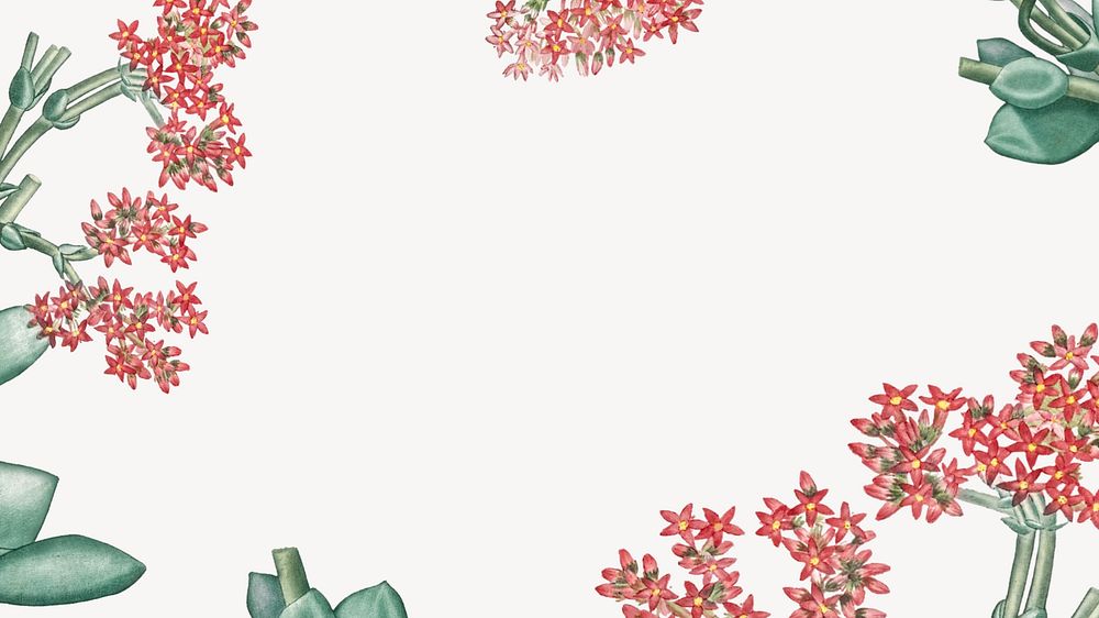 Off-white Ixora flower desktop wallpaper, vintage botanical border