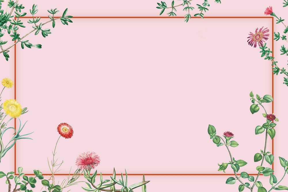 Colorful spring flowers frame, pink background
