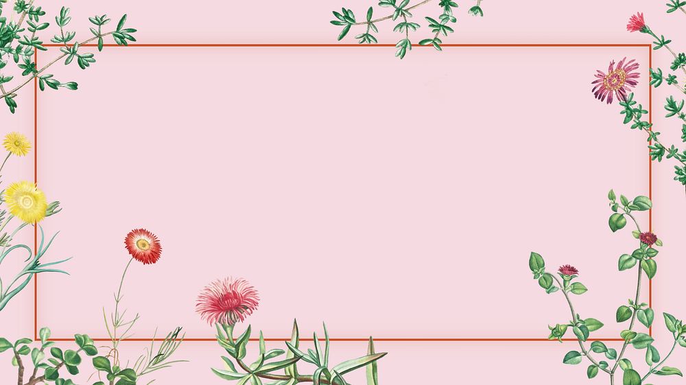 Colorful spring flowers desktop wallpaper, pink frame background