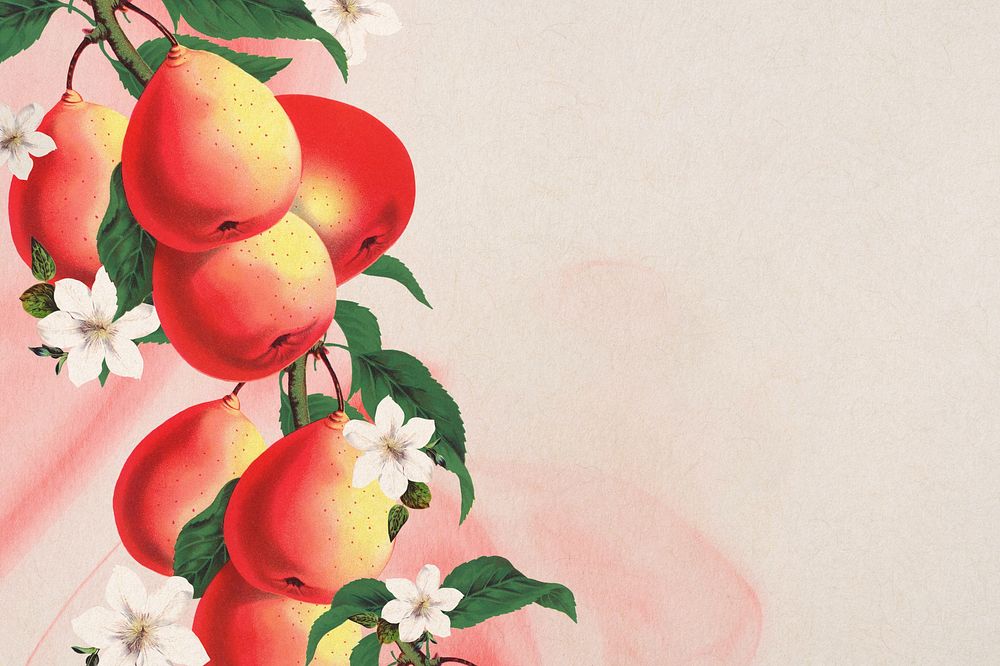 Pear and white flower border, vintage illustration