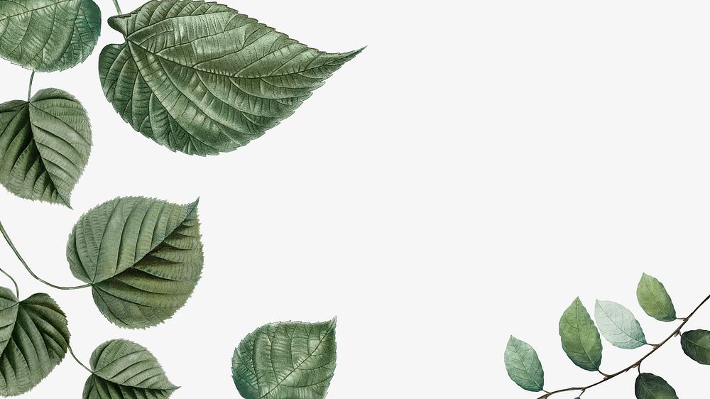 Leaf border beige desktop wallpaper