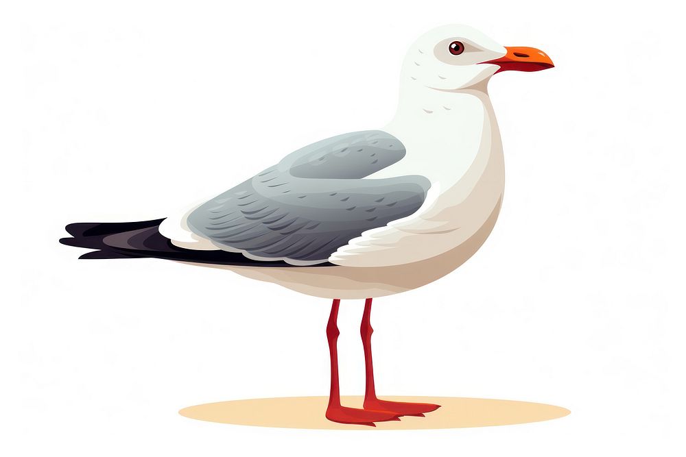 Seagull animal bird beak. AI generated Image by rawpixel.