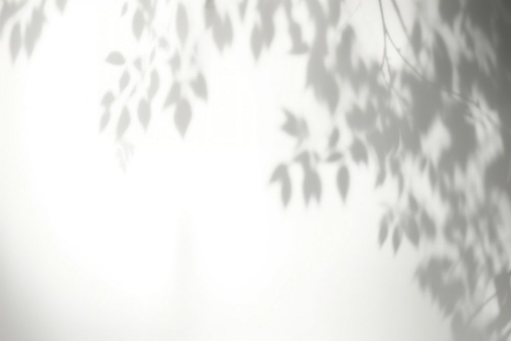 Silhouette nature shadow light. AI generated Image by rawpixel.