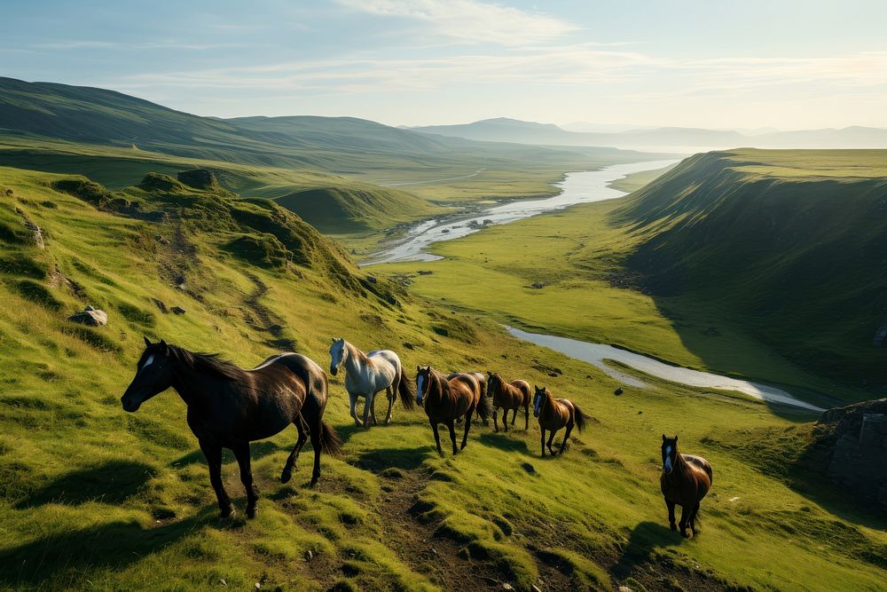 Landscape horse grassland outdoors. AI generated Image by rawpixel.