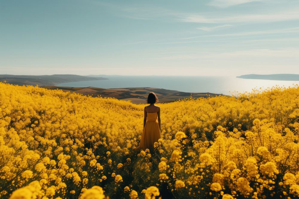 Landscape flower grassland outdoors. 