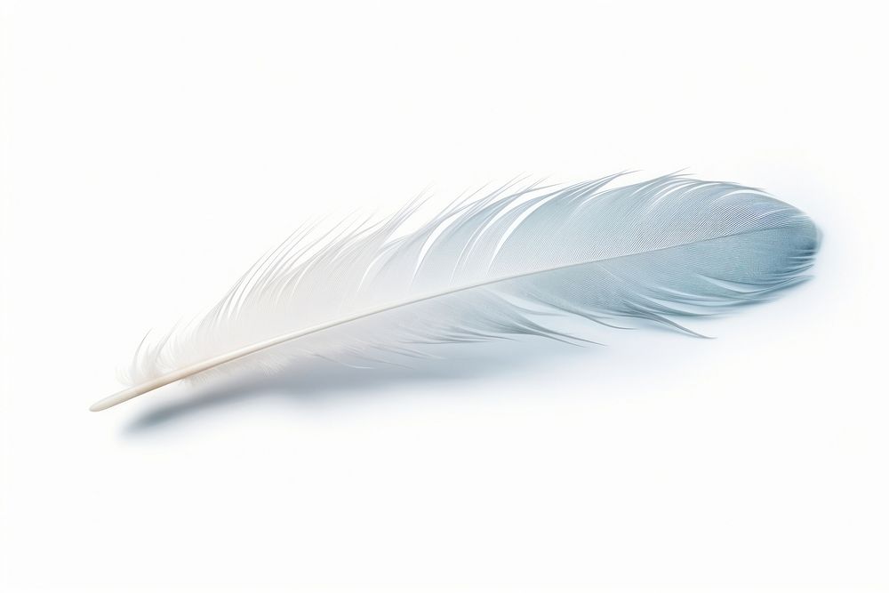 Dove feather white white background lightweight. AI generated Image by rawpixel.