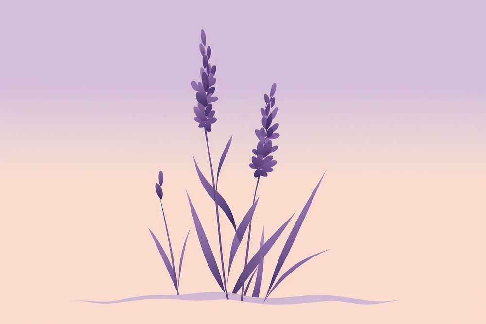 Lavender flower plant grass. AI generated Image by rawpixel.