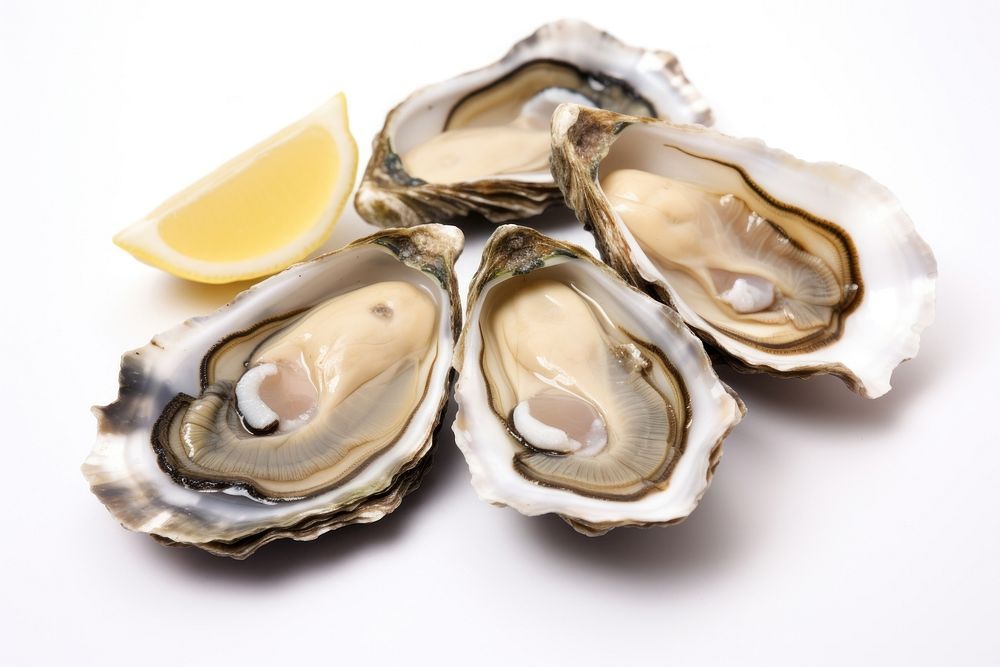 Oysters seafood clam white background. AI generated Image by rawpixel.