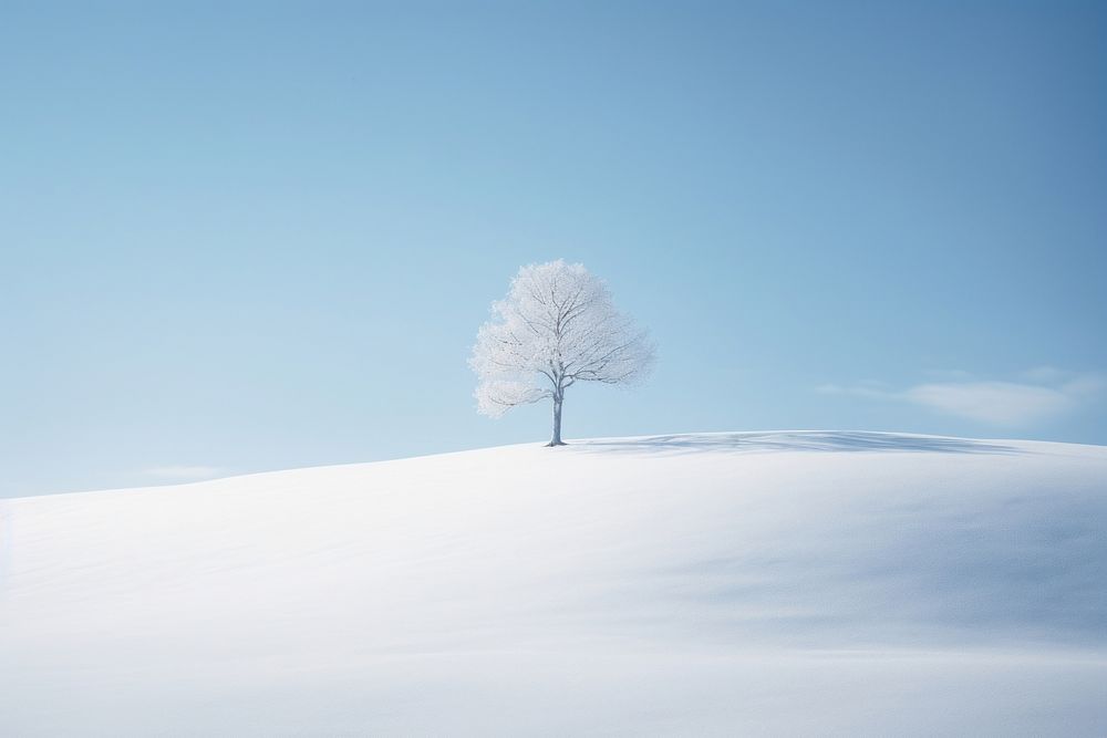 Snow landscape outdoors nature. 