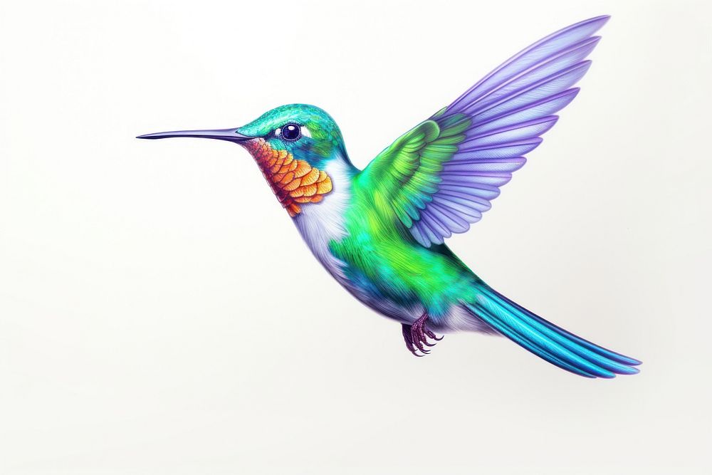 Hummingbird hummingbird drawing cartoon. AI generated Image by rawpixel.