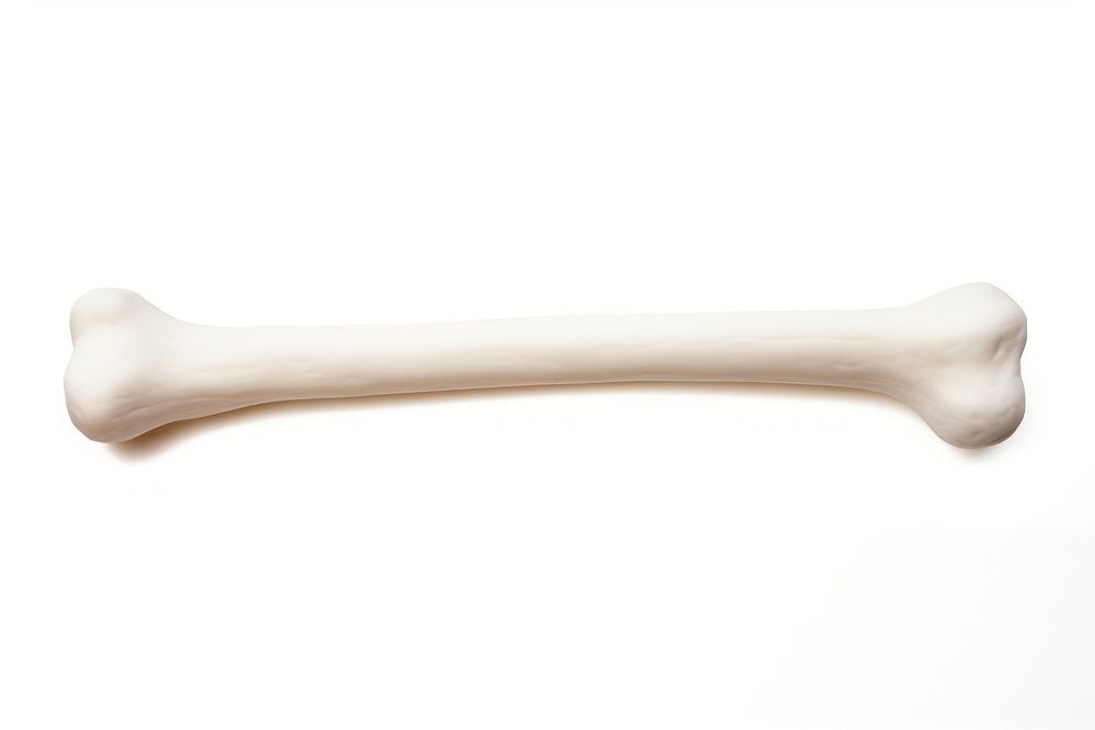 Bone white background simplicity toothbrush. AI generated Image by rawpixel.