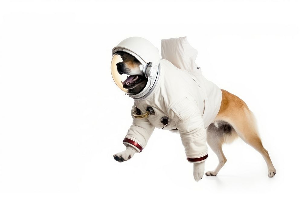 Astronaut dog animal mammal sports. AI generated Image by rawpixel.