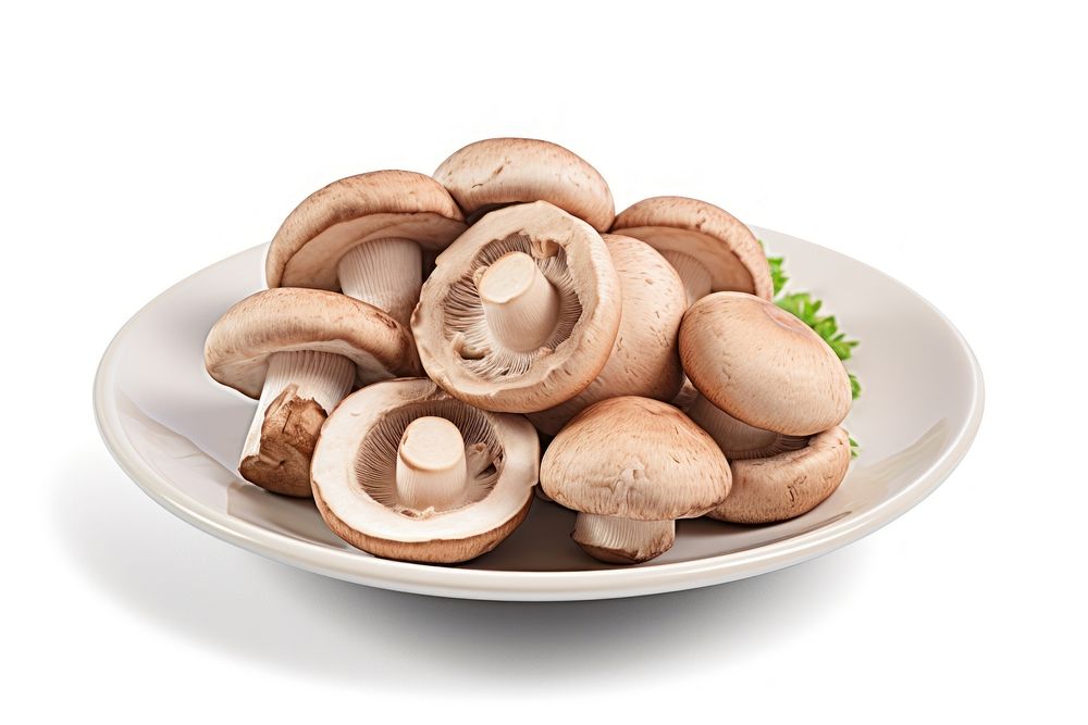 Mushroom plate food white background. AI generated Image by rawpixel.