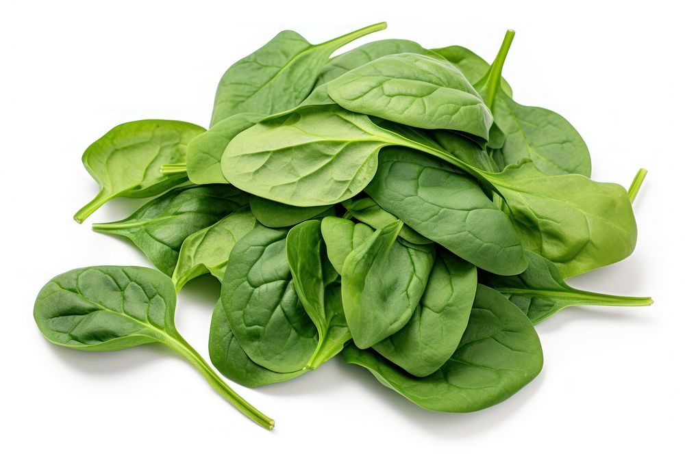 Spinach vegetable plant green. AI generated Image by rawpixel.