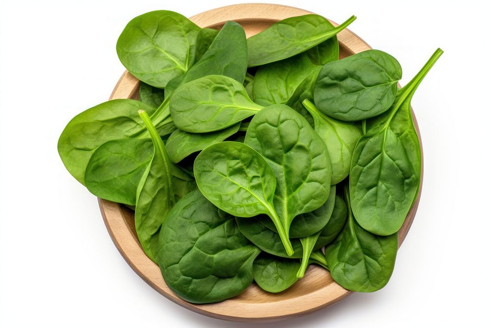 Spinach spinach vegetable plant. 