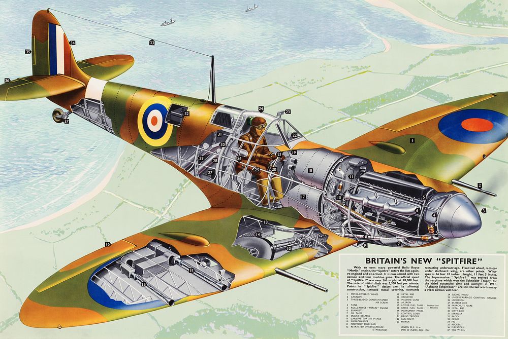 Second World War - Spitfire (1943-1949), vintage airplane illustration. Original public domain image from Wikimedia Commons.…