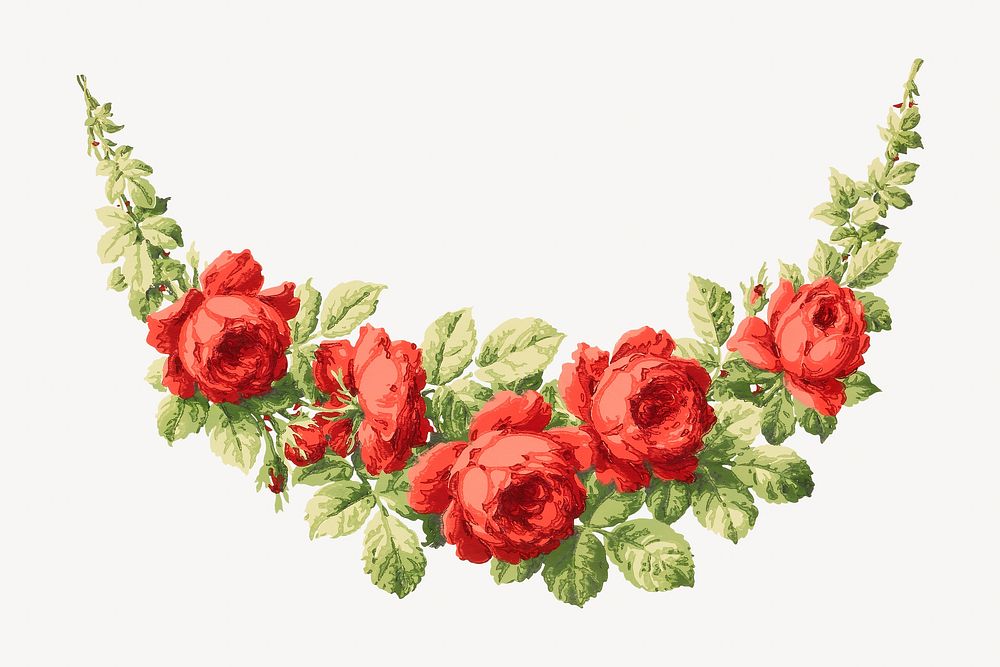 Red roses, vintage flower illustration. Remixed by rawpixel.