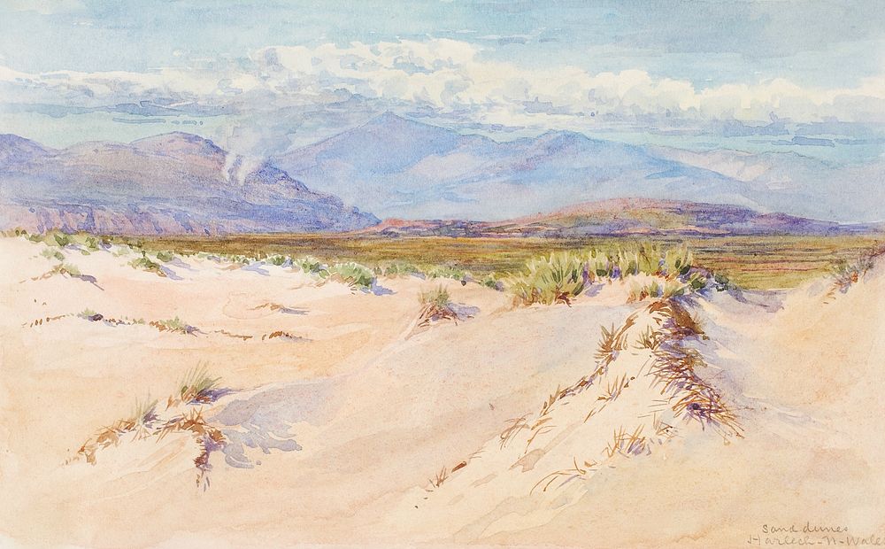 Sand Dunes, Harlech, North Wales (1899), vintage landscape illustration by George Elbert Burr. Original public domain image…