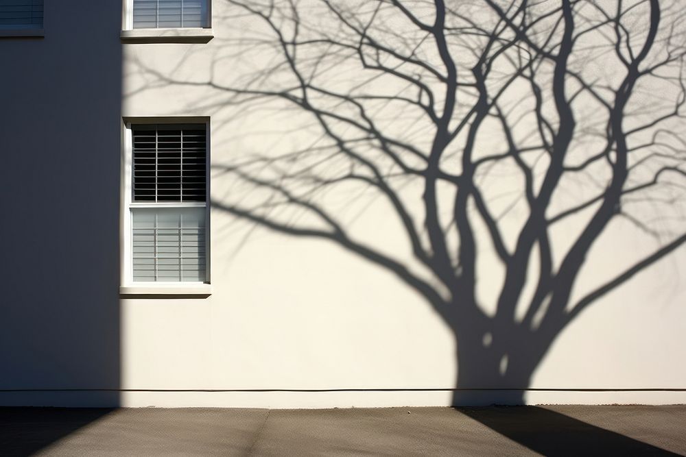 Building tree architecture branch. 