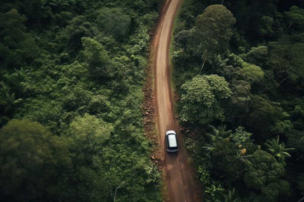 Road car outdoors woodland. AI generated Image by rawpixel.
