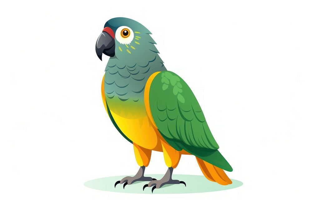 Senegal parrot animal bird white background. AI generated Image by rawpixel.