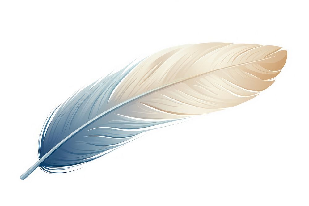 Feather white background lightweight accessories. AI generated Image by rawpixel.