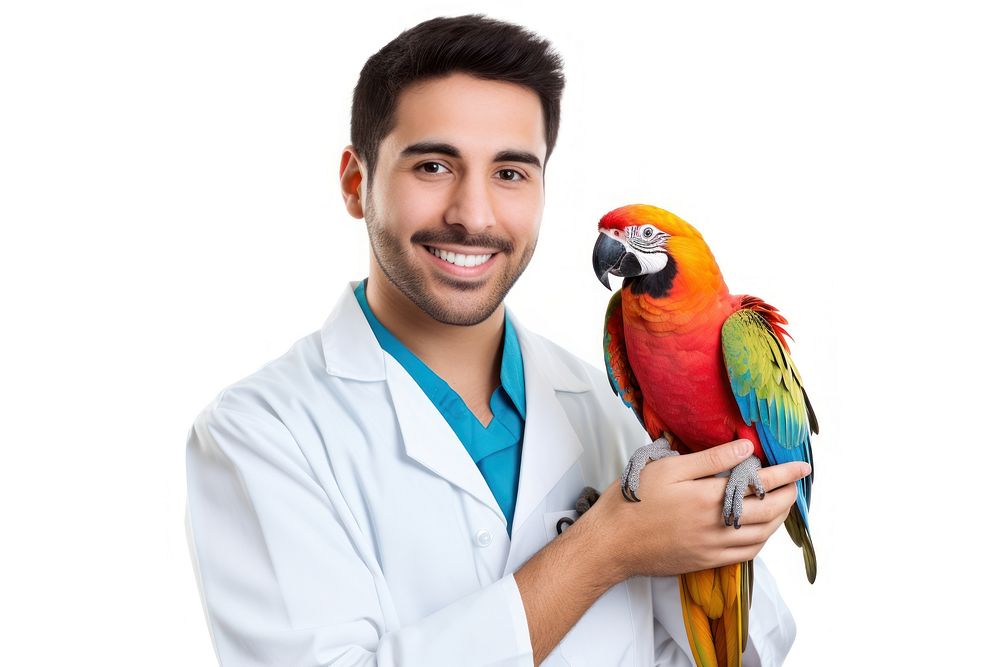 Veterinarian bird doctor animal. AI generated Image by rawpixel.