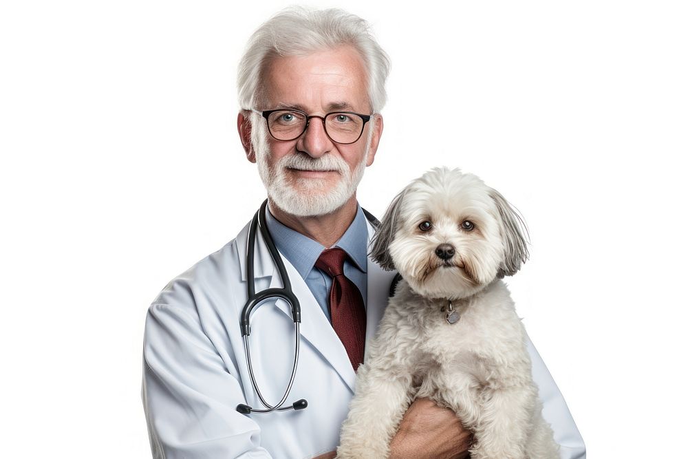 Male veterinarian glasses doctor adult. AI generated Image by rawpixel.