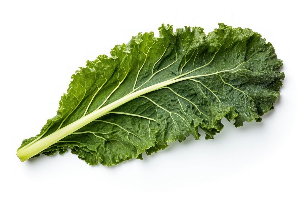 Kale vegetable lettuce plant. AI generated Image by rawpixel.