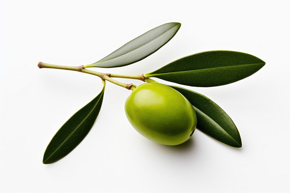 Olive olive fruit plant. AI generated Image by rawpixel.