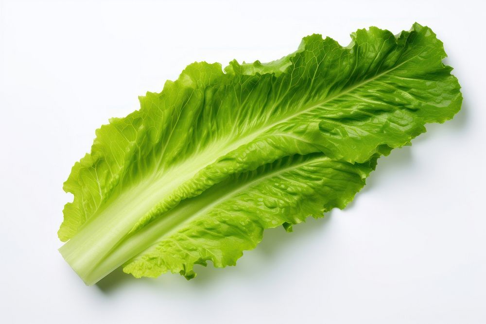 Lettuce vegetable plant food. AI generated Image by rawpixel.