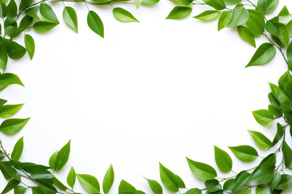 Green leaves frame backgrounds plant herbs. AI generated Image by rawpixel.