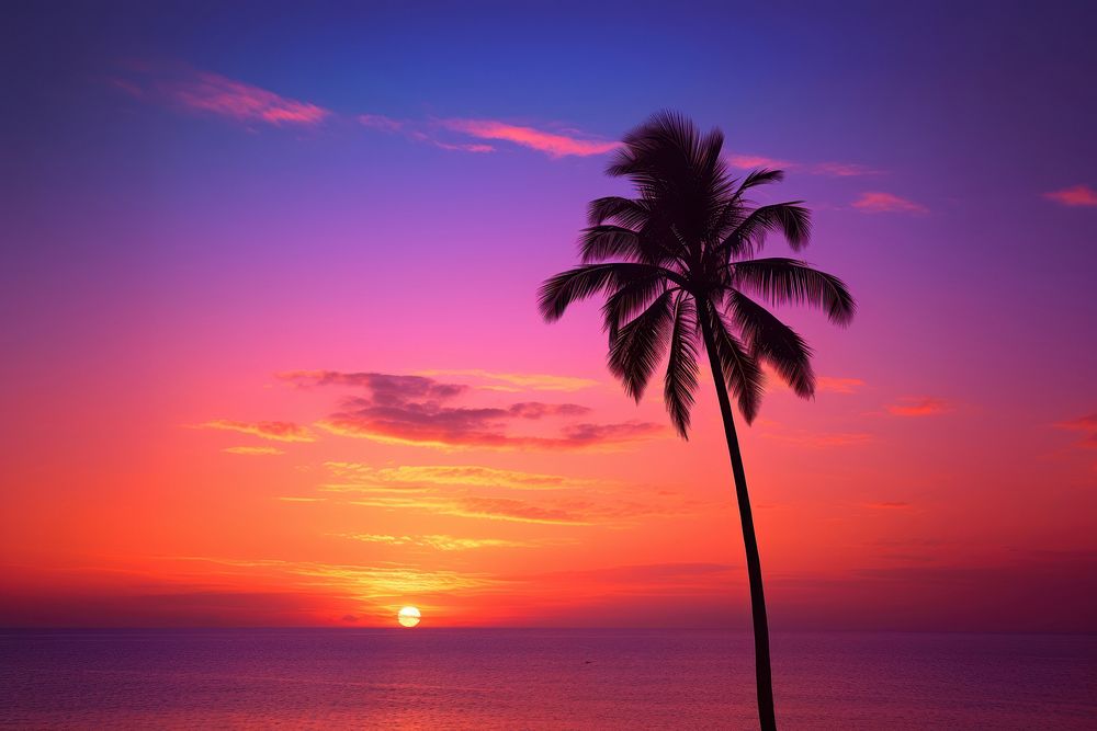 Sunset tree sky silhouette. 