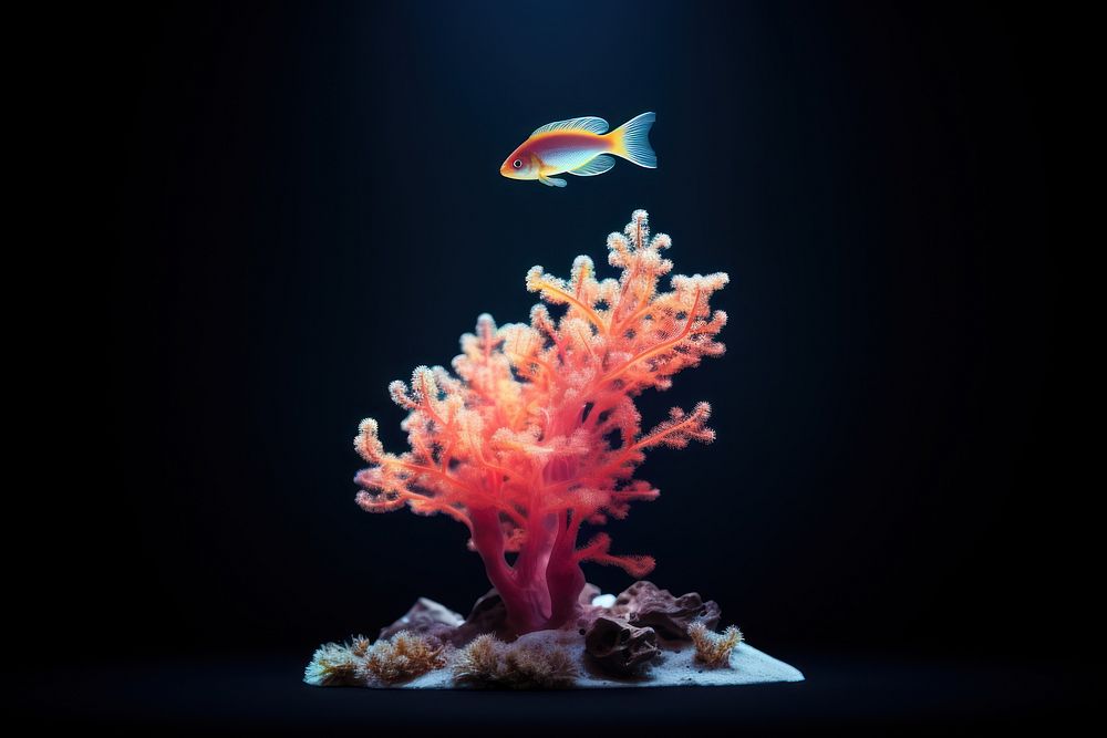 Aquarium fish animal nature. AI generated Image by rawpixel.