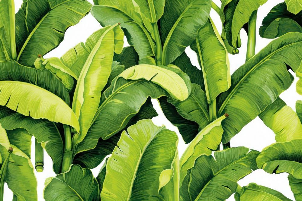 Banana tree leaf backgrounds plant. AI generated Image by rawpixel.