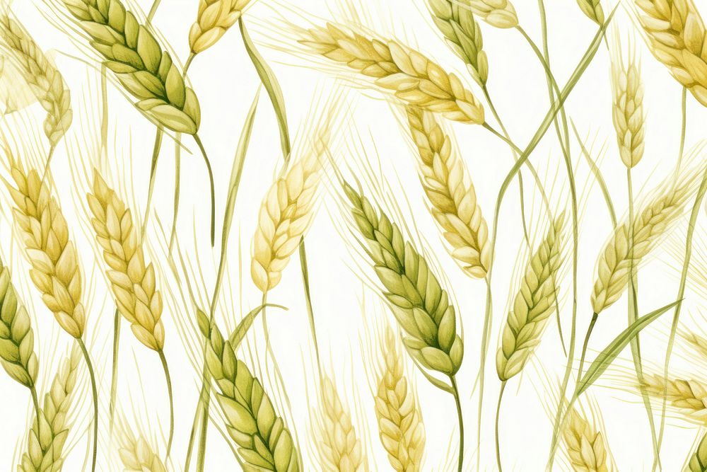 Plant agriculture backgrounds pattern. 