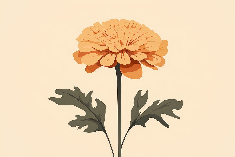 Marigold flower plant petal. AI generated Image by rawpixel.